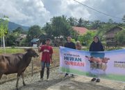 MDA Tebar Hewan Kurban Idul Adha 1446 H, Dukung Pemberdayaan Peternak dan Koperasi Lokal