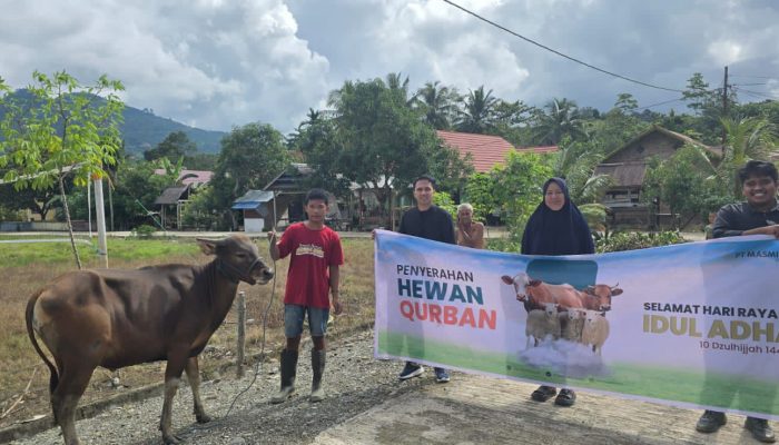 MDA Tebar Hewan Kurban Idul Adha 1446 H, Dukung Pemberdayaan Peternak dan Koperasi Lokal