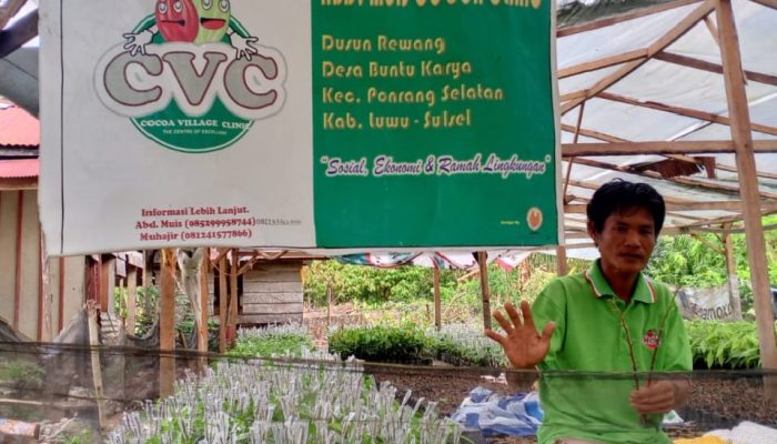 Target Nasional 8 Juta Bibit Kakao, Petani Luwu Ingatkan Keadilan Distribusi