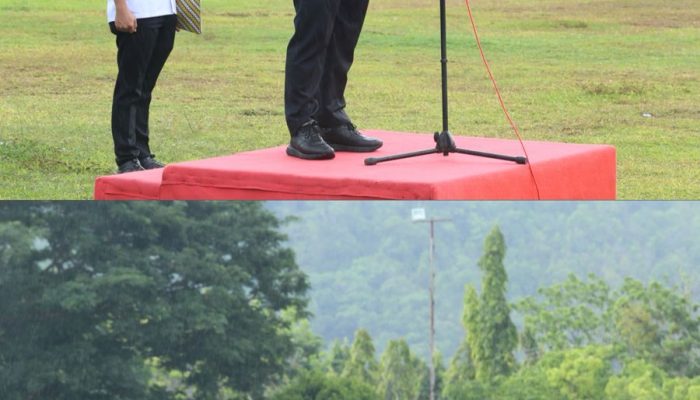 Berkah Penutup Tahun, Bupati Luwu Serahkan Kado Akhir Tahun untuk Ribuan PPPK Paruh Waktu