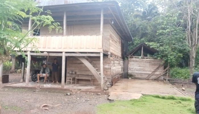 Miris, Keluarga di Kamanre Luwu Bertahun-tahun Hidup Tanpa Jamban dan Tinggal di Kolong Rumah Lapuk