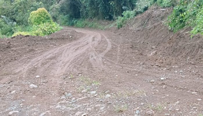 Dana Stimulan PT Masmindo Dorong Swadaya Pemuda dalam Perbaikan Jalan Latimojong