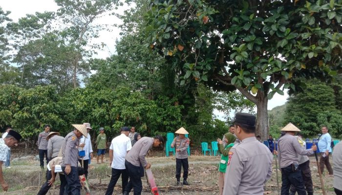 Pemanfaatan Lahan Tidur untuk Ketahanan Pangan: Penanaman Jagung Serentak di Desa Seppong