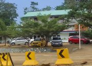 Penghijauan Kawasan Smelter PT Bumi Mineral Sulawesi: Komitmen Industri Ramah Lingkungan
