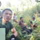 Kades Papakaju Disorot, Ada Apa di Balik Pengelolaan Hutan Lindung?