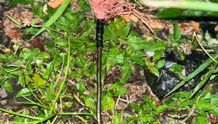 Polisi Lepas Terduga Pelaku Bom Molotov, Kepala Desa Padangkalua Kembali Diteror