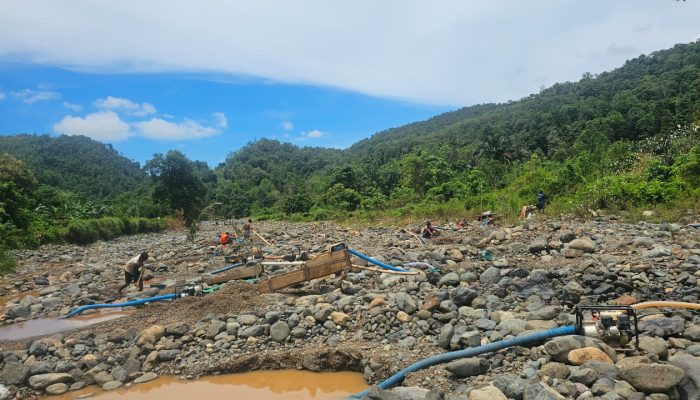 Sebulan Beroperasi Tanpa Izin, Tambang Emas Ilegal di Bua Luwu Diduga Libatkan Oknum Aparat