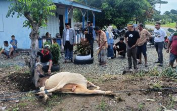 Warga Desa Lengkong Terima Bantuan Sapi Kurban dari PT BMS