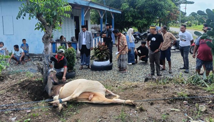 Warga Desa Lengkong Terima Bantuan Sapi Kurban dari PT BMS