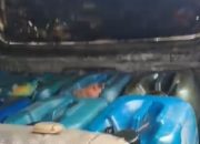 Solar Subsidi Diduga Dijual ke Penimbun, Aktivitas SPBU Padang Sappa Jadi Sorotan