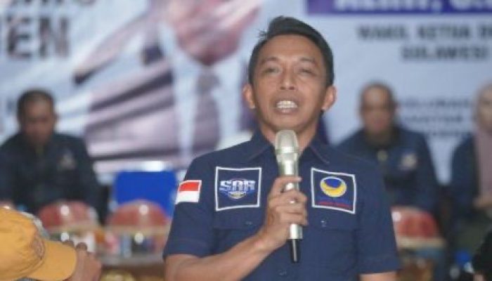 Ketua DPW NasDem Sulsel : DPP Kelarkan SK PAW, Hayarna Hakim Gantikan RMS