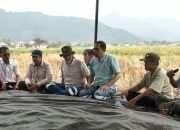 Panen Padi Capai 7,5 Ton per Hektare di Tengah Kekeringan, Pemkab Luwu Apresiasi Dukungan MDA untuk Petani Desa Balla