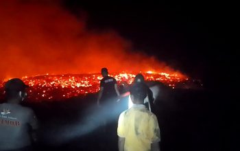 Kebakaran Limbah Kayu Belasan Hektare di Bua Luwu, Api Mendekati Permukiman Warga